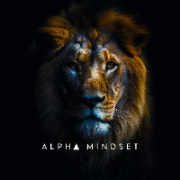 🦄 @theofficialalphamindset - Alpha Mindset - TikTok