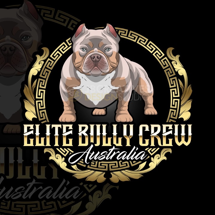 🦄 elitebullycrewaus elite bully crew Australia TikTok