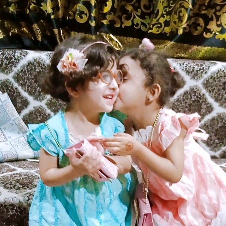 @mehranfida417