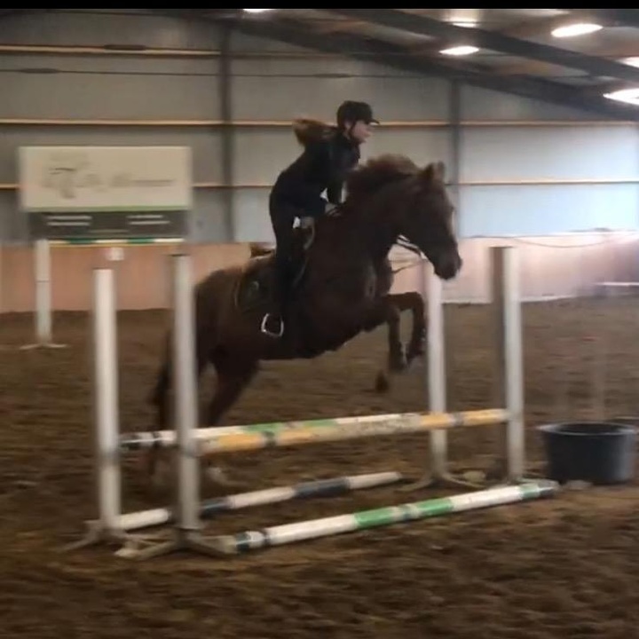 Galop Wissel Wat Is Het Laagste En Het Hoogste Cijfer Dat Jullie Dit Jaar Hebben Gehaald A