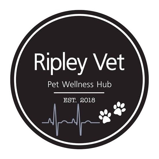 🦄 ripleyveterinaryhospital Ripley Veterinary Hospital TikTok