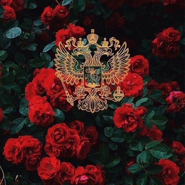 #ПО🤙КАЙФУ - suara asli