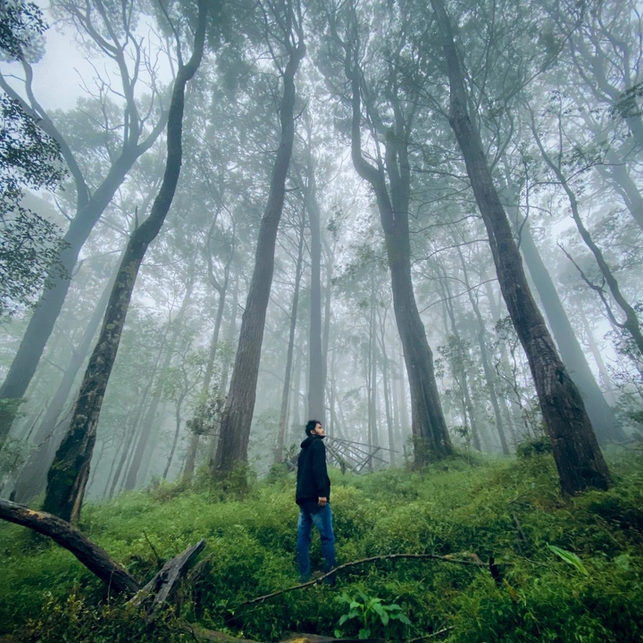 @TLtravel_official👣💚 - suara asli