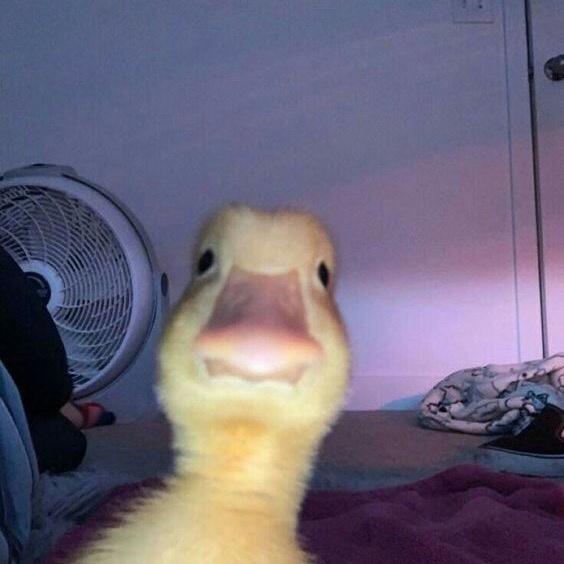 @_.1ls._