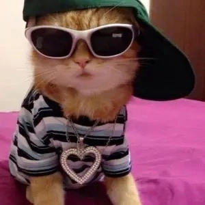 ):) - suara asli