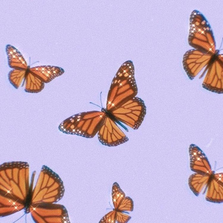 Clash Citation0 Tiktok Clash Citation0 Tiktok