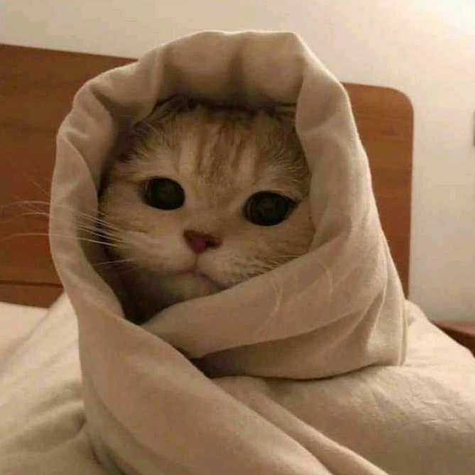 @nilaroo - suara asli