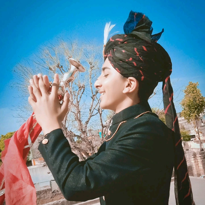 @royal_darbar002 - original sound