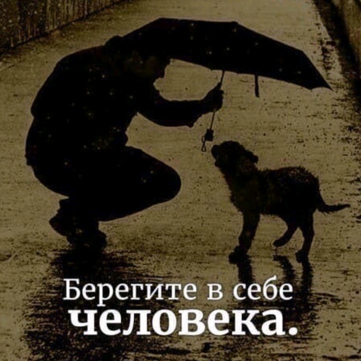 Главное человечность. Берегите в себе человека а.п Чехов. Ьерегите в се бе человека. Берегите в себе человека цитаты. Береги в себе человека Чехов.