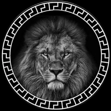 ⚜️MaQa⚜️ - suara asli
