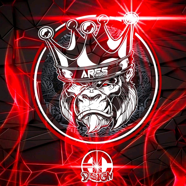 🦄 @ares_custom - 📢AR£S-CUSTØM[ - - TikTok