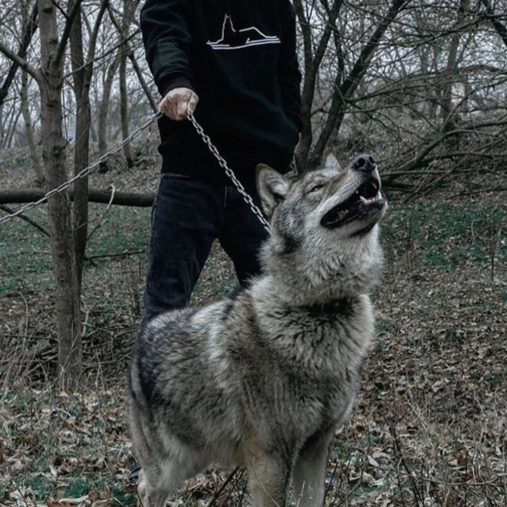 𝕓𝕖𝕣𝕫𝕝𝕠𝕪 - suara asli