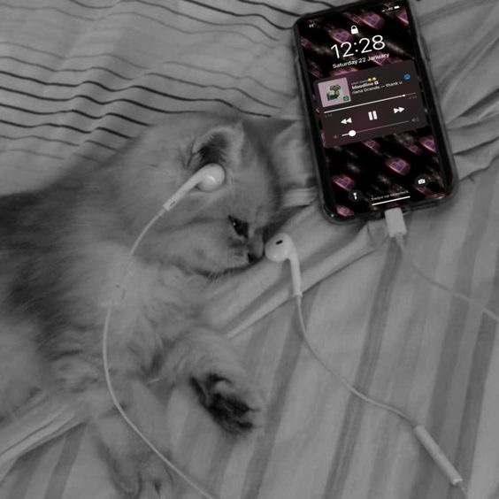 ♊️🖤 - suara asli