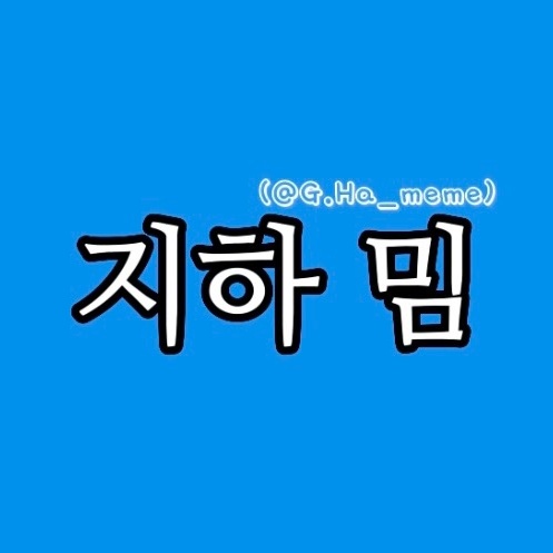 🦄 @gha_meme - 지하밈 (G.Ha_meme) - TikTok