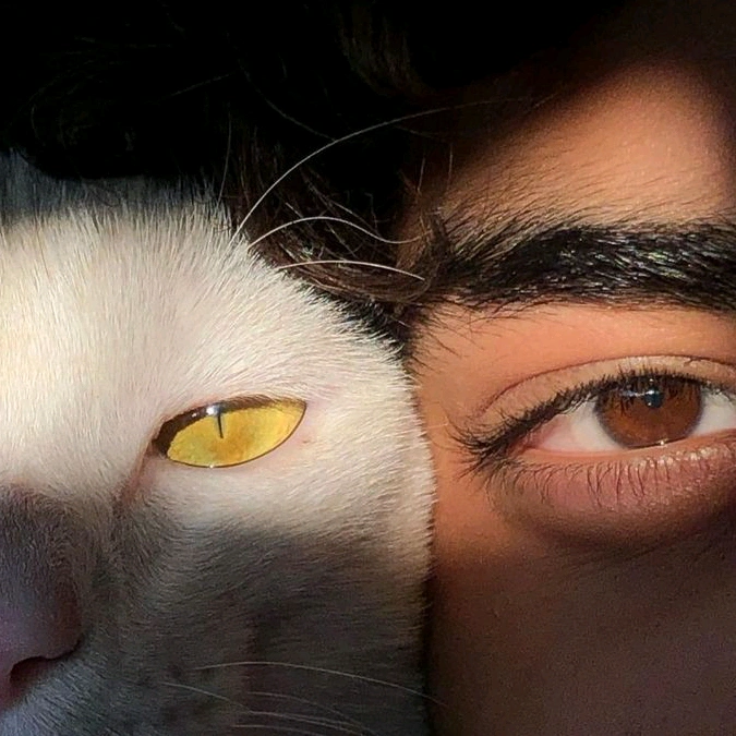 𝙎𝙥𝙚𝙚𝙙 𝙐𝙥 - suara asli