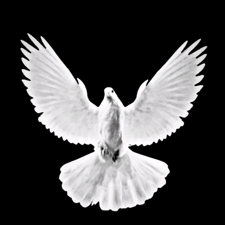 « 𝓑𝓲𝓻𝓼𝓪𝓿𝓮𝓽 » - Birsavet