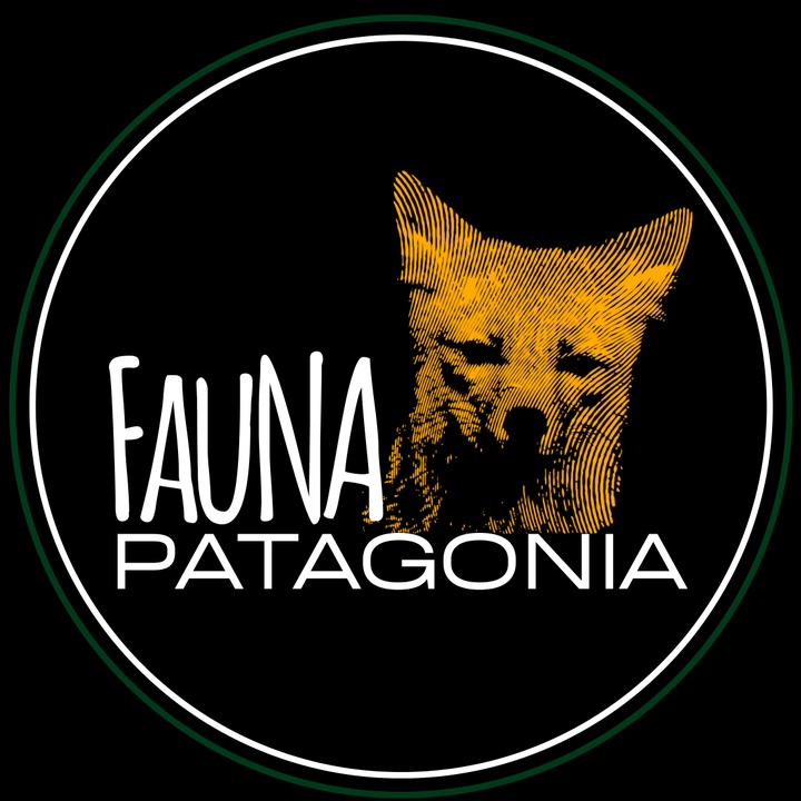 🦄 @fauna.patagonia - Bastian Vásquez G - TikTok