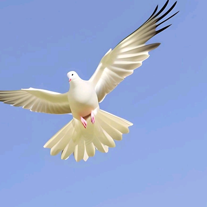 @plucare