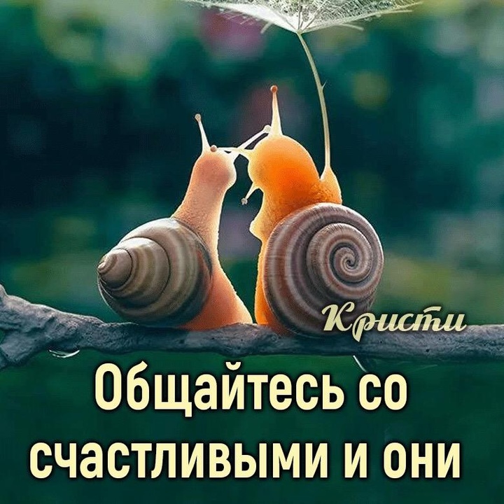 Общайтесь со счастливыми и они заразят вас счастьем картинки