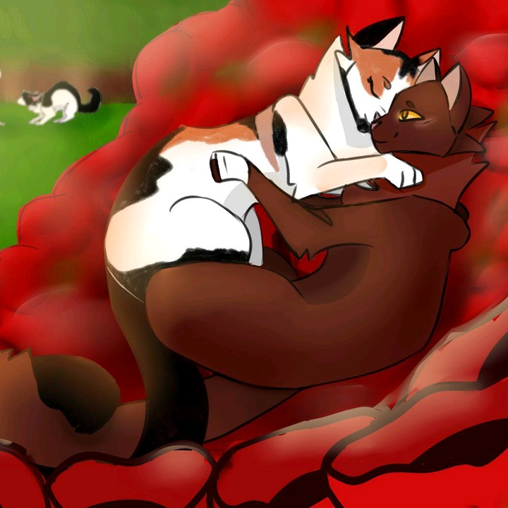 Коты воители тг