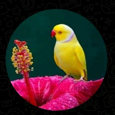 @kuzhali032