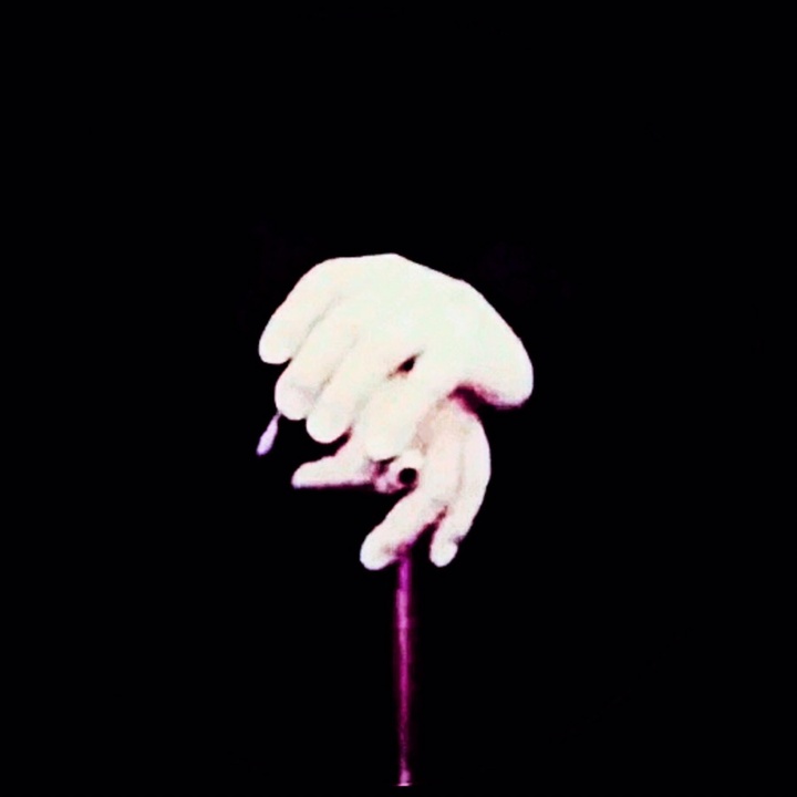 « 𝓑𝓲𝓻𝓼𝓪𝓿𝓮𝓽 » - Birsavet