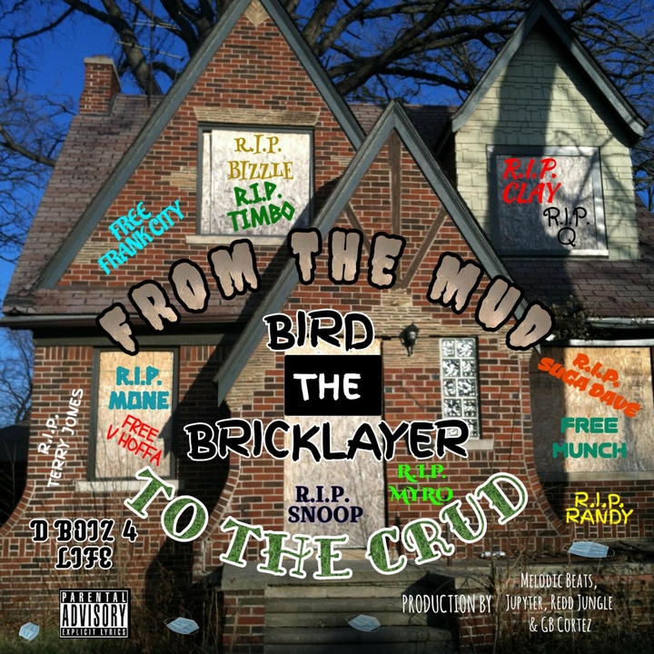 King Of The Jungle Created By Bird The Bricklayer Popular Songs On Tiktok