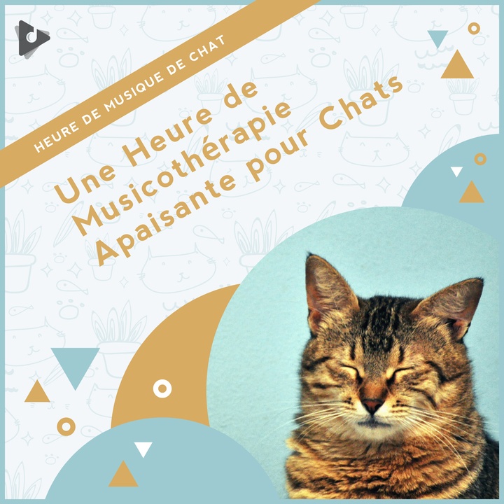 Sons Calmes Pour L Anxiete Creation De Heure De Musique De Chat Musique Relaxante Pour Chats Musique Apaisante Pour Chatons Chansons Populaires Sur Tiktok