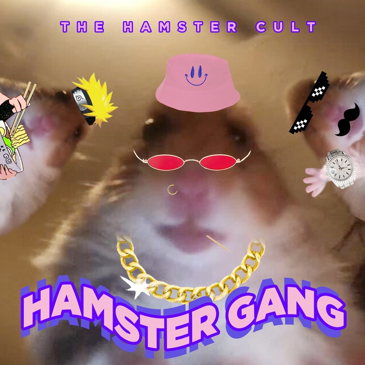 Hamster Gang Created By The Hamster Cult Popular Songs On Tiktok