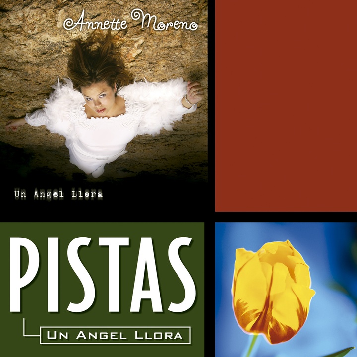 Guardian de Mi Corazon (Pista)