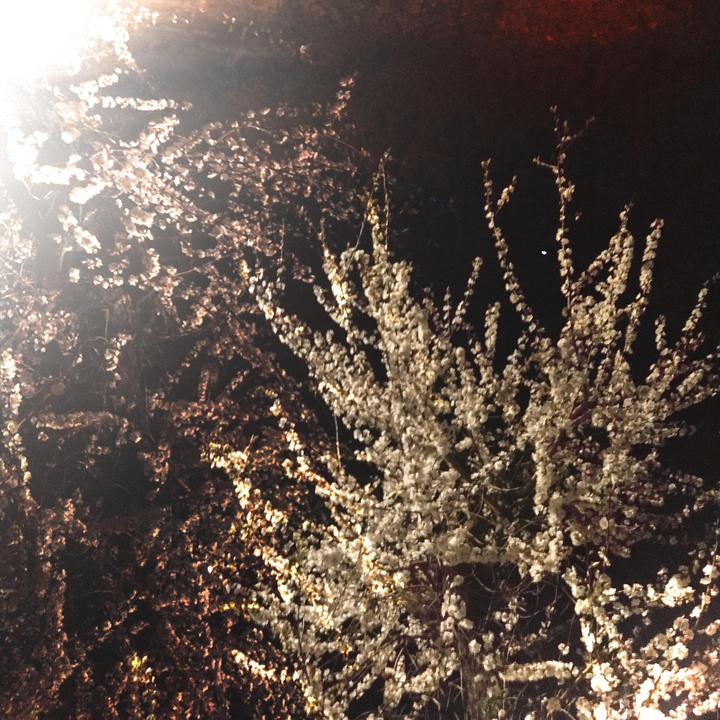 その箱の中に入る。