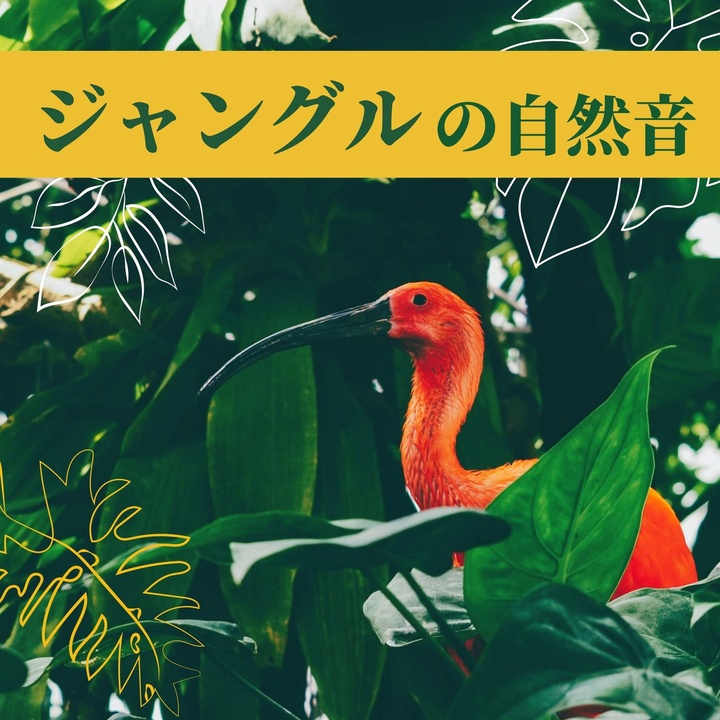 アマゾンの鳥が製作したジャングルのクルージング Tiktok ティックトック で人気の曲
