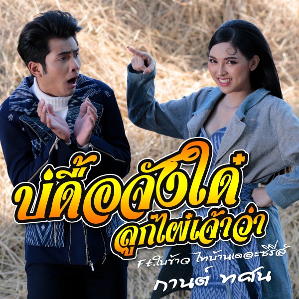 Cover บ่ดื้อจังได๋ลูกไผ๋เจ้าว่า  ft. ใบข้าว ไทบ้านเดอะซีรีส์