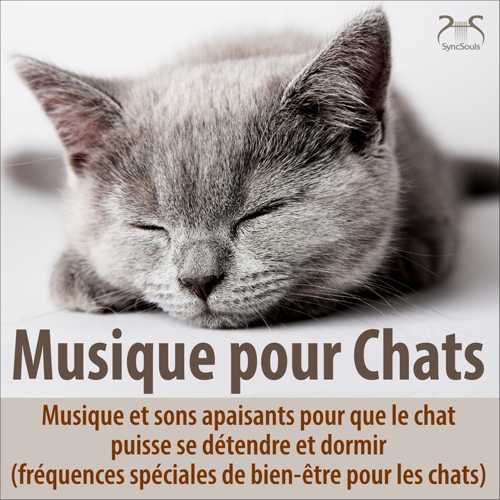 Musique de relaxation pour le chat : sons de piano doux et ronronnements apaisants (gamme de fréquences supplémentaire pour que le chat se sente bien)
