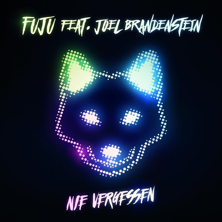 Nie vergessen (feat. Joel Brandenstein) (Akustik Version)