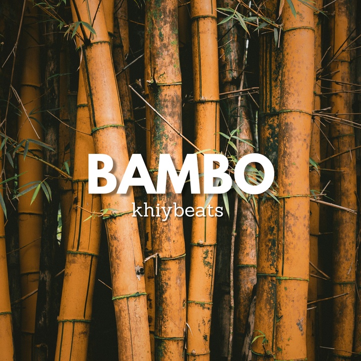 Bambo