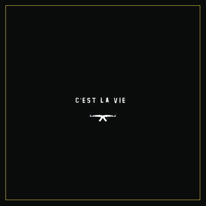 C'est la vie (feat. MellemFingaMuzik)