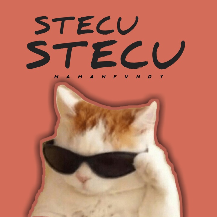 Stecu Stecu