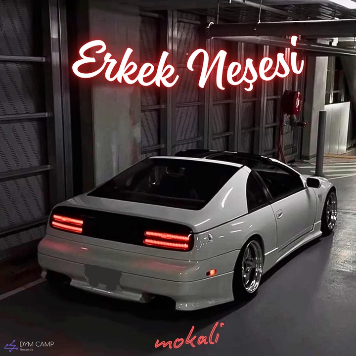 Erkek Neşesi - Tolny