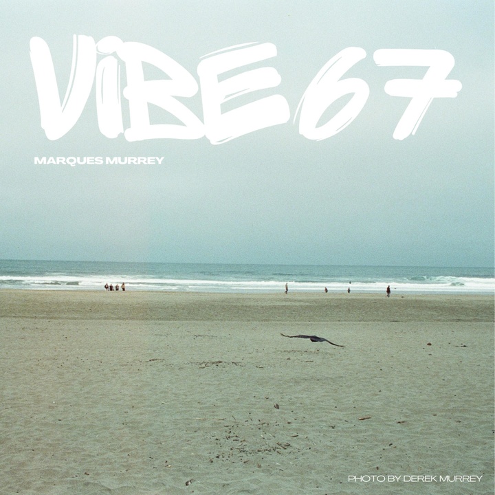 Vibe 67