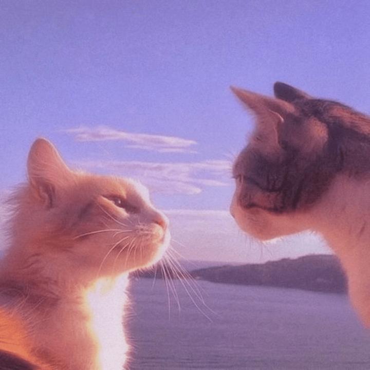 Another Day in Paradise