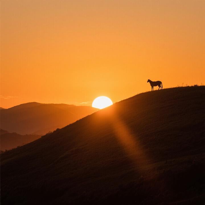 Sunsets by the Hill