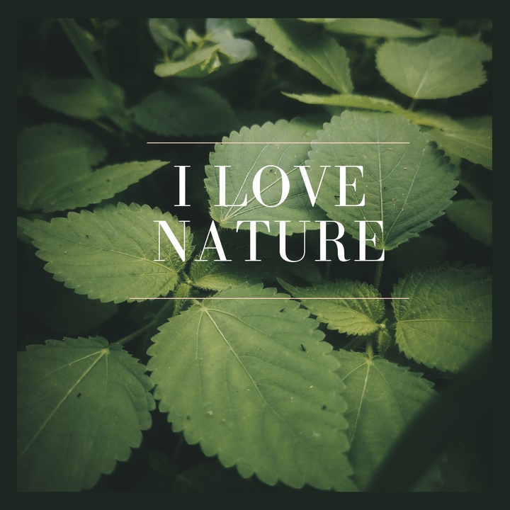 I Love Nature (Live)