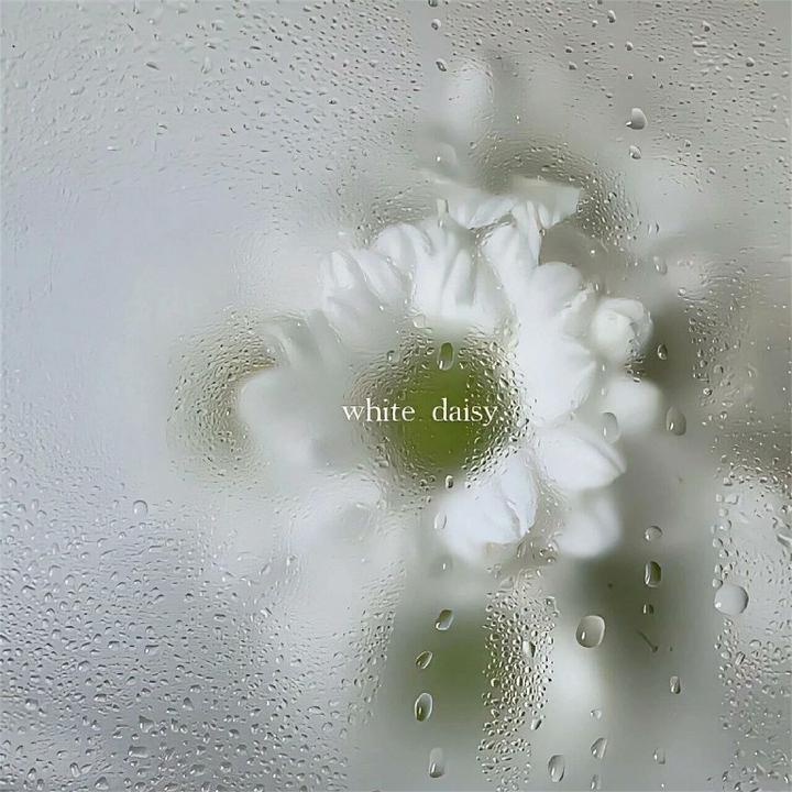 Monkeys Spinning Monkeys(纯享版)