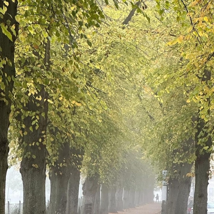 Dj Sanam Jedag Jedug