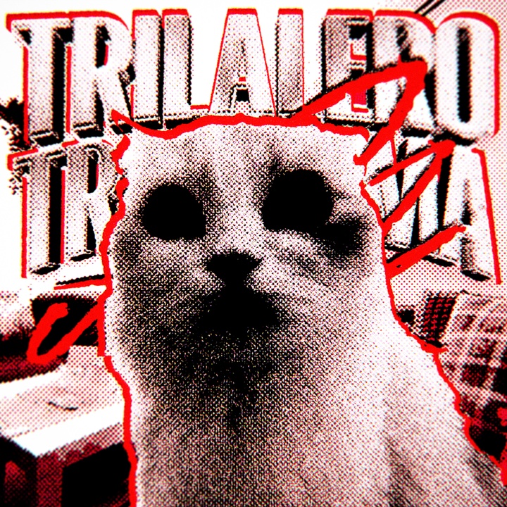 TRILALERO TRALALIMA FUNK - Slowed