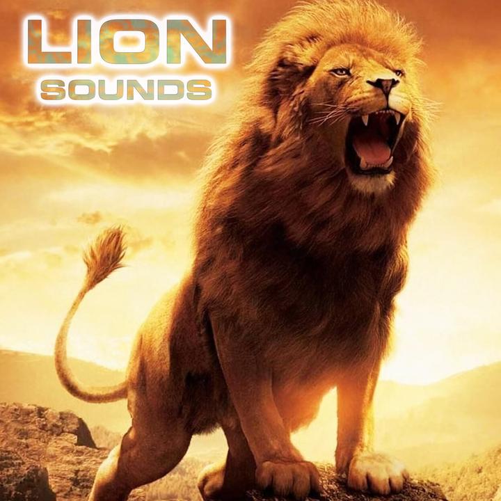 Lion Sound
