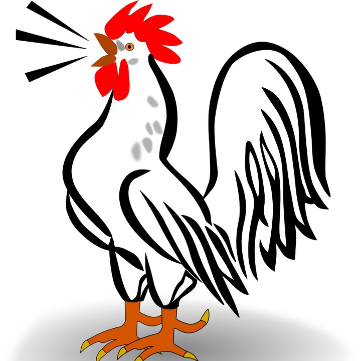 Звуки петуха