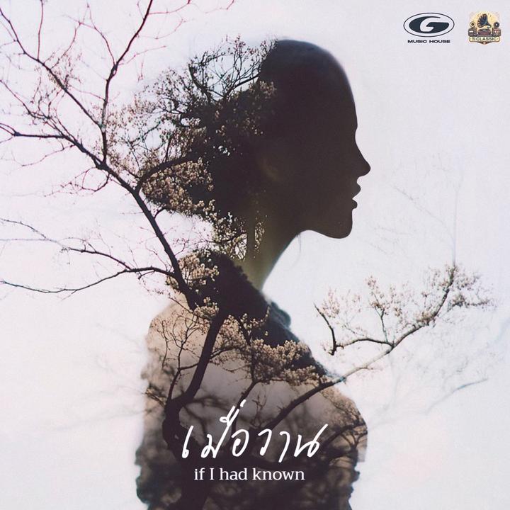 TikTok - Make Your Day->