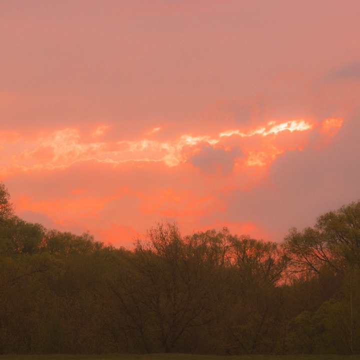 Π‘ΡΠ°ΡΡΠ»ΠΈΠ²ΡΠΉ ΠΌΠΎΠΌΠ΅Π½Ρ